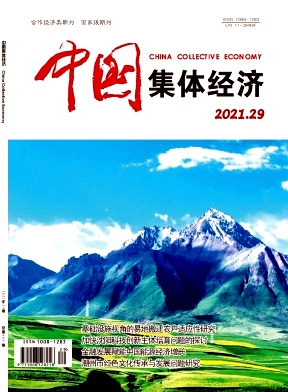 《产业兴旺视角下的海南乡村旅游发展对策研究》