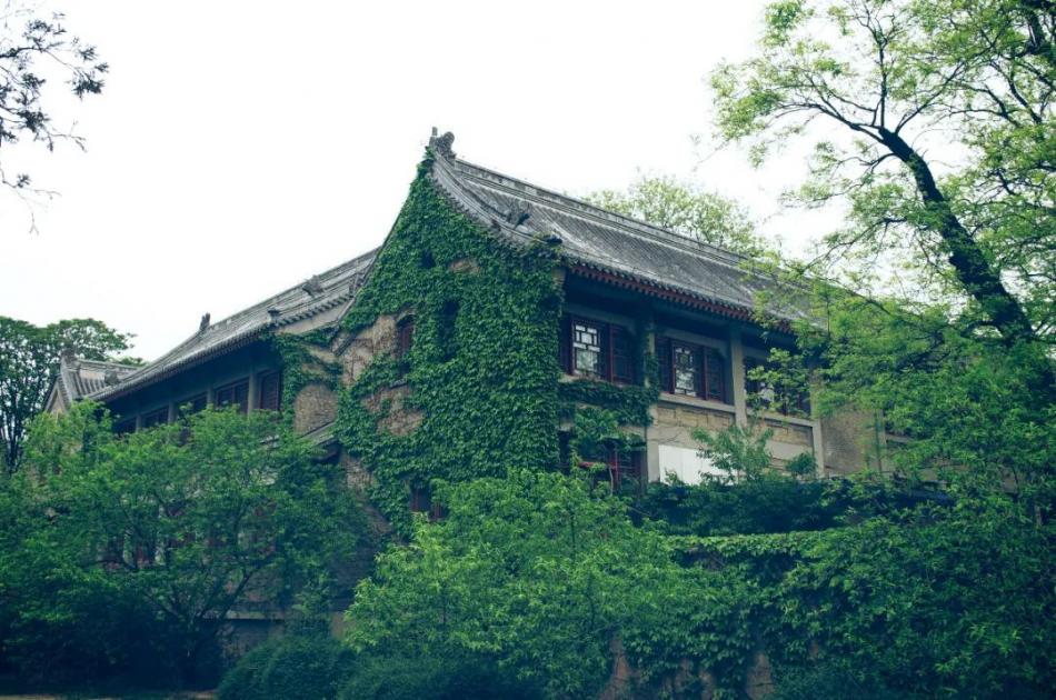 乡村振兴的“六品”如何引领农业迭代发展？