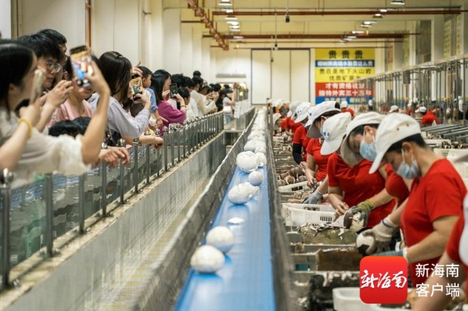 图3.jpg